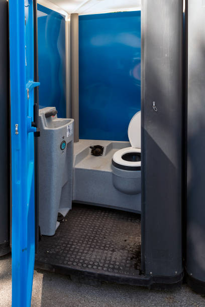 Best Best portable toilet rental  in Swanton, OH
